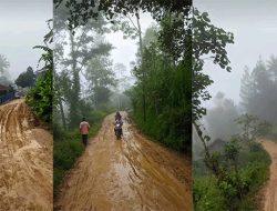 Jalan Kubangan Babi Masih Terlihat Jelas di Daerah Ngrayun Ponorogo Jawa Timur