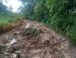 Badan Jalan Tertutup Longsor, Akses Jalan Menuju Desa Pandan 2 Dengan Bakkal Kab Dairi Terputus Total